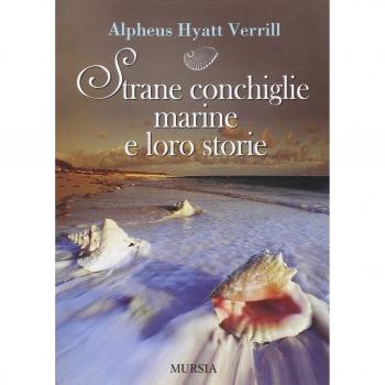 Strane conchiglie marine e loro storie