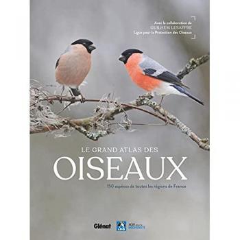 Le grand Atlas des oiseaux: 150 oiseaux des régions de France