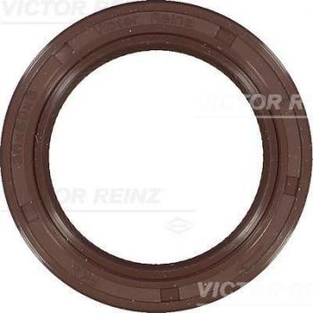 Retentor Cambota 81-54209-00 REINZ