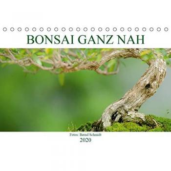 Bonsai ganz nah