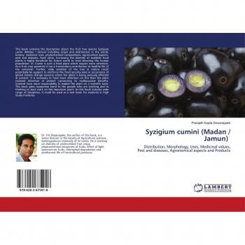 Syzigium cumini (Madan / Jamun)