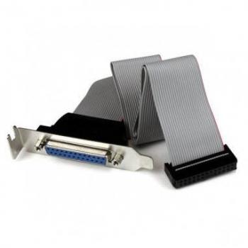 Adaptador Startech PLATE25F16LP
