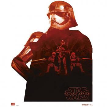 Mini Poster Star Wars EP7 – Captain Phasma (Schatten) 40 × 50 cm