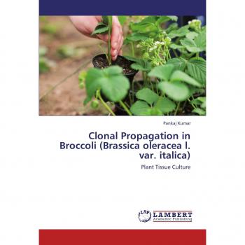 Clonal Propagation in Broccoli