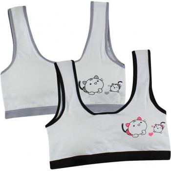 Conjunto de Sujetadores Adiestramiento Gatos P30