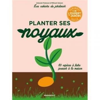 Planter ses noyaux
