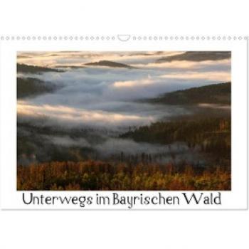 Unterwegs im Bayrischen Wald (Wandkalender 2024 DIN A3 quer) CALVENDO Monatskalender