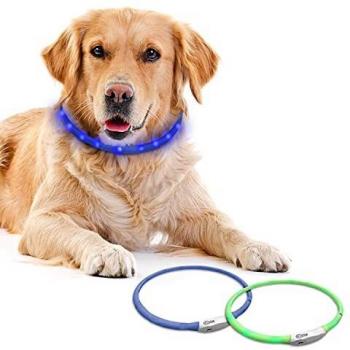 FurDreams Waterproof LED Dog Collar Light