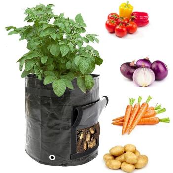 Bolsa Tomate y Patata 10 Galones
