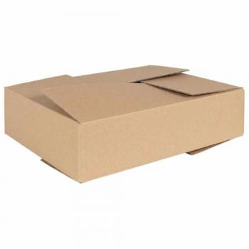 Boîte Pliable en Carton Naturel 50 Pcs 40 x 30 x 10 cm