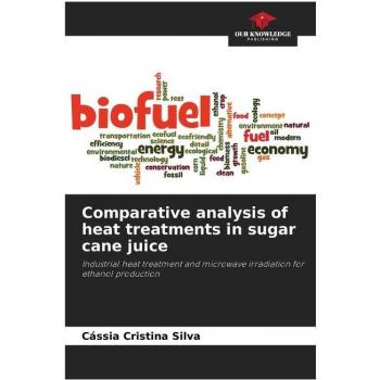 Comparative analysis of heat treatments in sugar cane juice