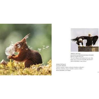 Comedy Wildlife Photography Awards Vol. 3 Hardback