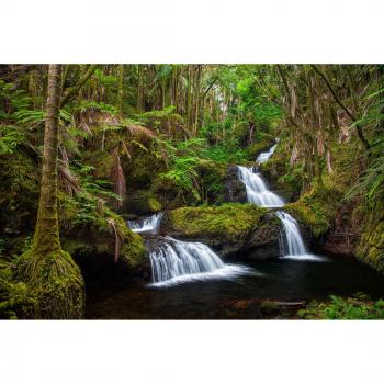 Papermoon Fototapete »Wasserfall und Blumenpracht«