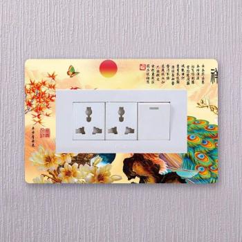 Funda de Interruptor de Pared de Acrílico
