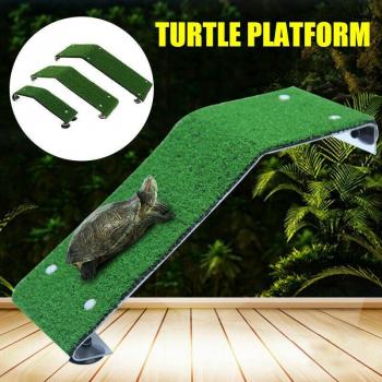 Plataforma de Césped para Terrarios