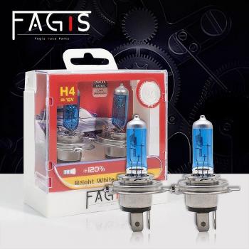 Fagis Premium Halogen Scheinwerfer