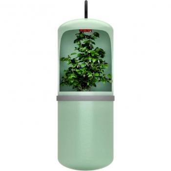 Gotero de agua para terrarios con plantas 37MB