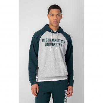 Champion Michigan State University Sweatshirt, Green/Gray