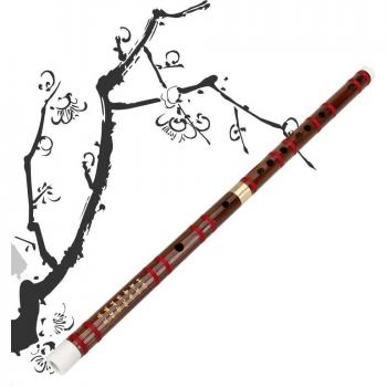Dizi Bamboo Flute for Kids in D E F G Key