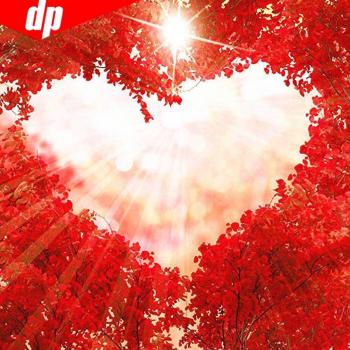 Mozaico di diamante 5D LOVE completo rotondo