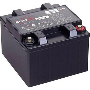 Batteria AGM 12 V 26 Ah EnerSys Genesis 12EP26