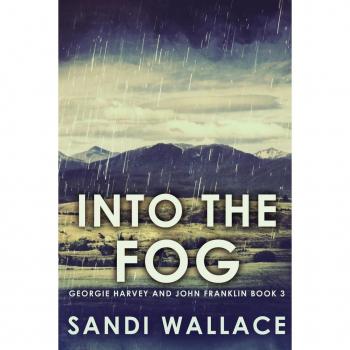 Into The Fog