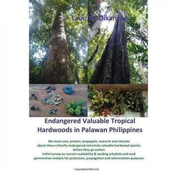Endangered Valuable Tropical Hardwoods in Palawan Philippines