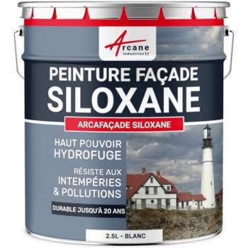 Peinture Façade Siloxane 2.5 L