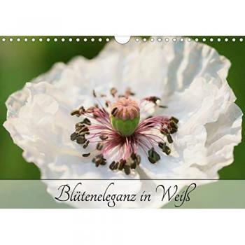Blüteneleganz in Weiß