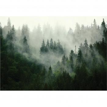 Bosque Místico Cola 350x250