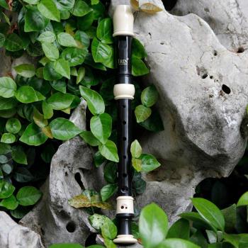 IRIN Beginner Baroque Clarinet