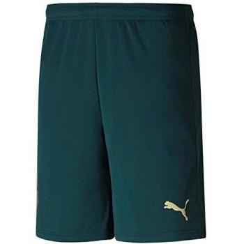 Herren FIGC Third Shorts Replica – PUMA