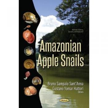 Amazonian Apple Snails