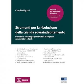 Strumenti per la risoluzione della crisi da sovraindebitamento. P...