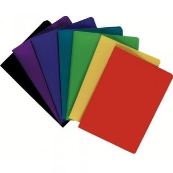 EXACOMPTA A4 Display Book with 40 Pockets