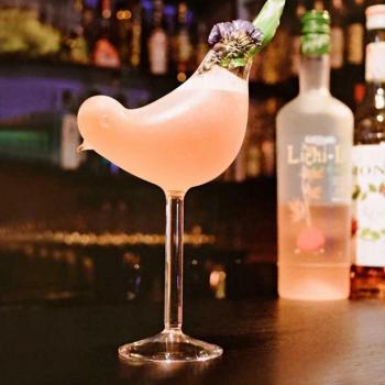 Vasos Aves