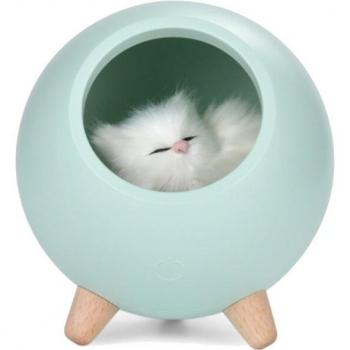 EcoLuz Feline Harmony
