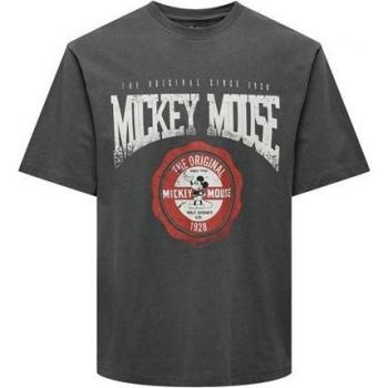 Camiseta Onsmickey Rlx Gris para Hombre