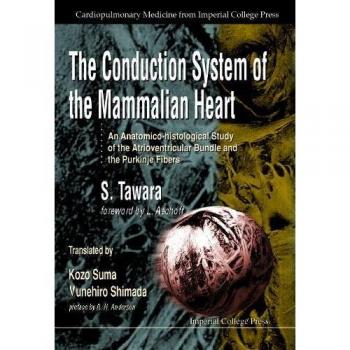 CONDUCTION SYSTEM OF THE MAMMALIAN HEART, THE: AN ANATOMICO-HISTOLOGICAL STUDY OF THE ATRIOVENTRICULAR BUNDLE AND THE PURKINJE FIBERS