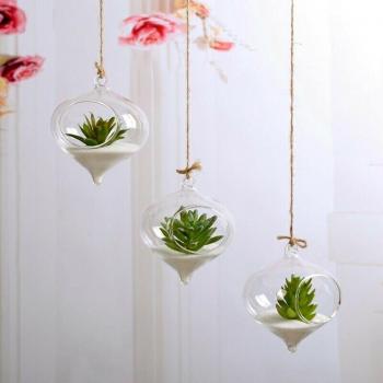 Hanging Glass Planter for Home and Garden