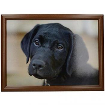 Creative Tops Labrador Cushioned Bean Bag Lap Tray