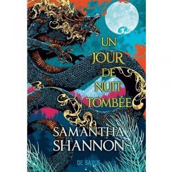 Un jour de nuit tombÃ©e (brochÃ©)