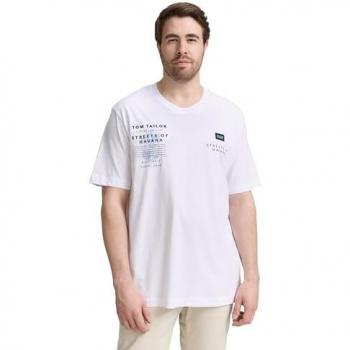 TOM TAILOR Plus Size T-Shirt für Herren