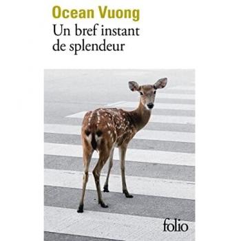 Un bref moment de splendeur