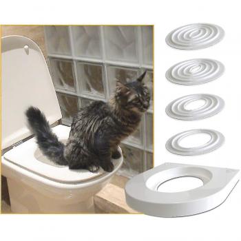 Guía de Inodoro para Gatos: Facilita la Vida con un Proceso de Aprendizaje de 5 Etapas