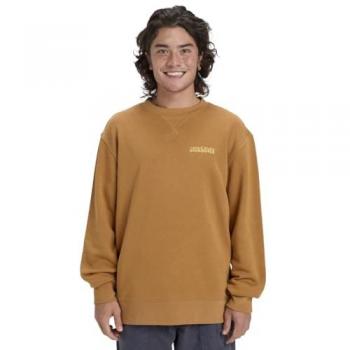 Vêtement Quiksilver Salt Water Graphic Almond pour Homme