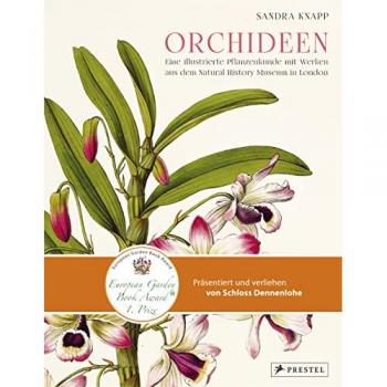 Orchideen