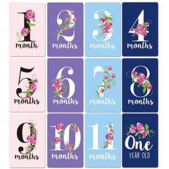 12 cartes d'âge et autocollants animaux pour bébé