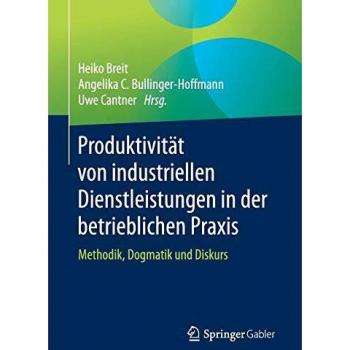 Produktivität von industriellen Dienstleistungen in der betrieblichen Praxis