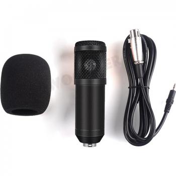 BM 800 PC Microphone Set